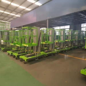 ELEVADOR INDIVIDUAL 10 METROS - 100KG 6